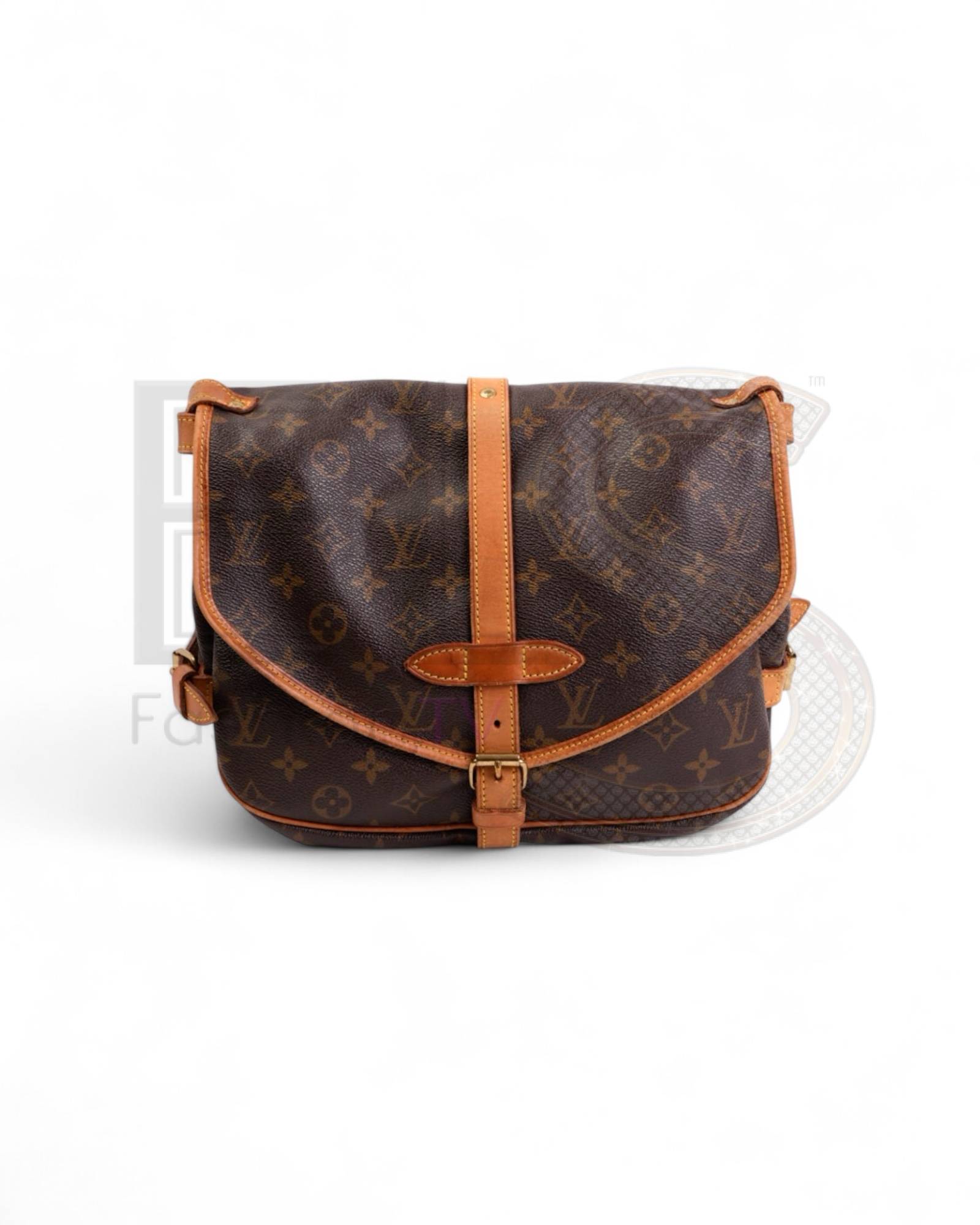 Louis Vuitton Saumur 30 Monogram Elite ART Projects