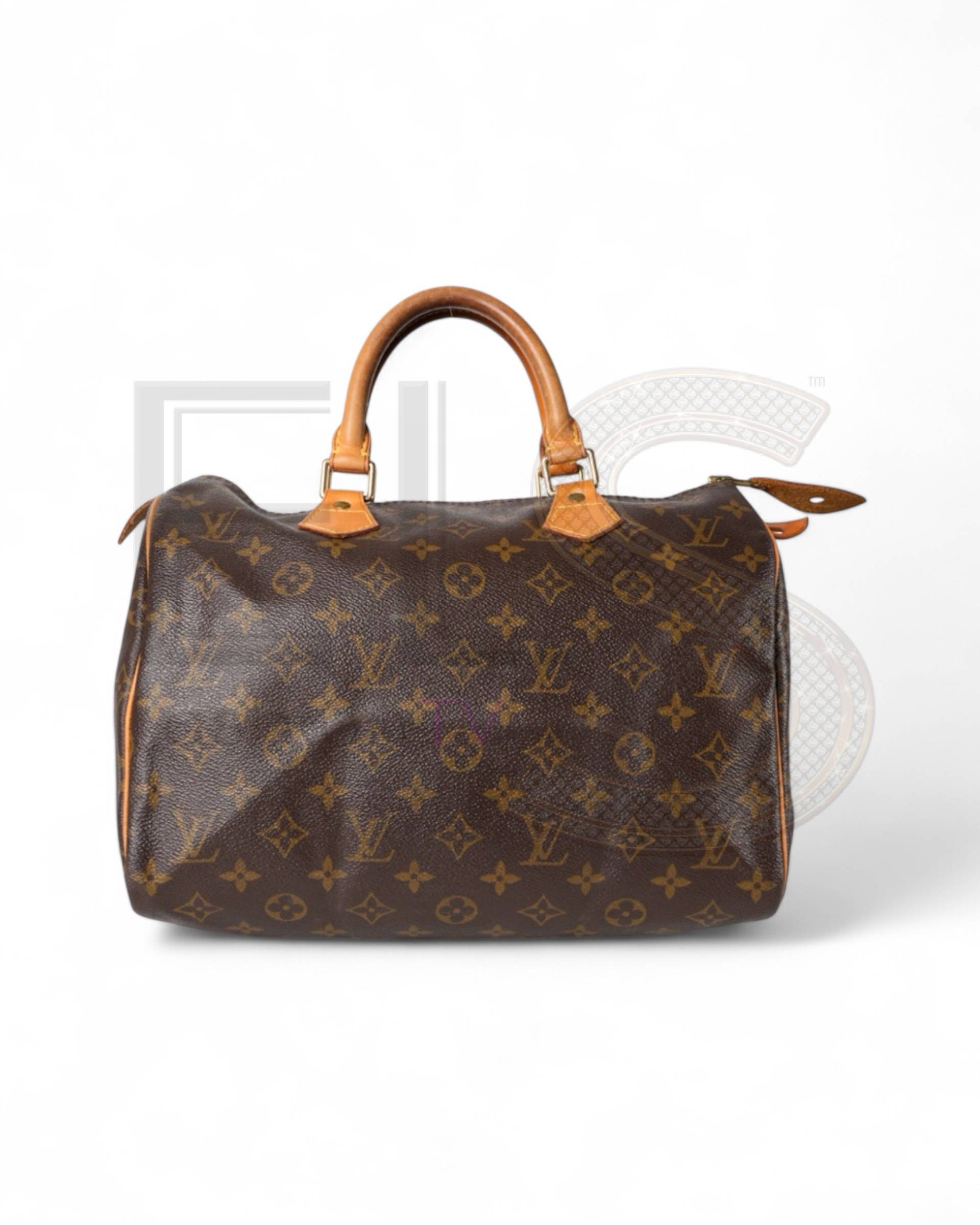 Louis Vuitton Speedy 30 Monogram Elite ART Projects