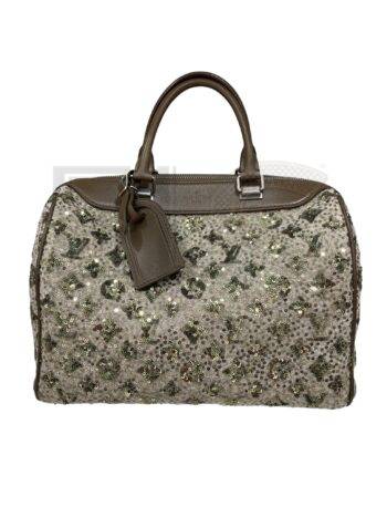 Louis Vuitton Speedy Sunshine Express L.E. Elite ART Projects